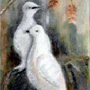 Two Doves