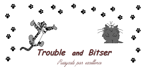 Trouble and Bitser, the cats